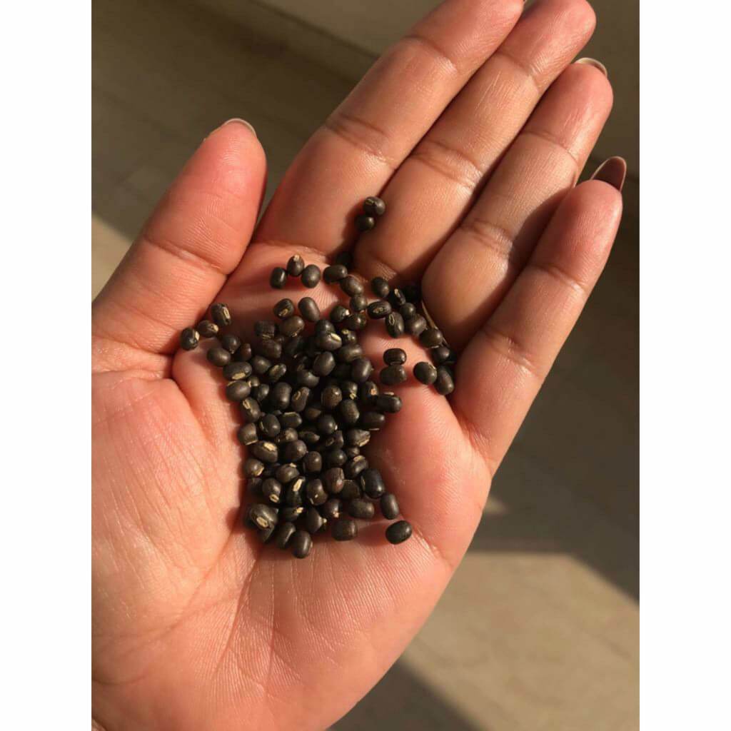 Balaayah Black Gram Booster - Pack de 5